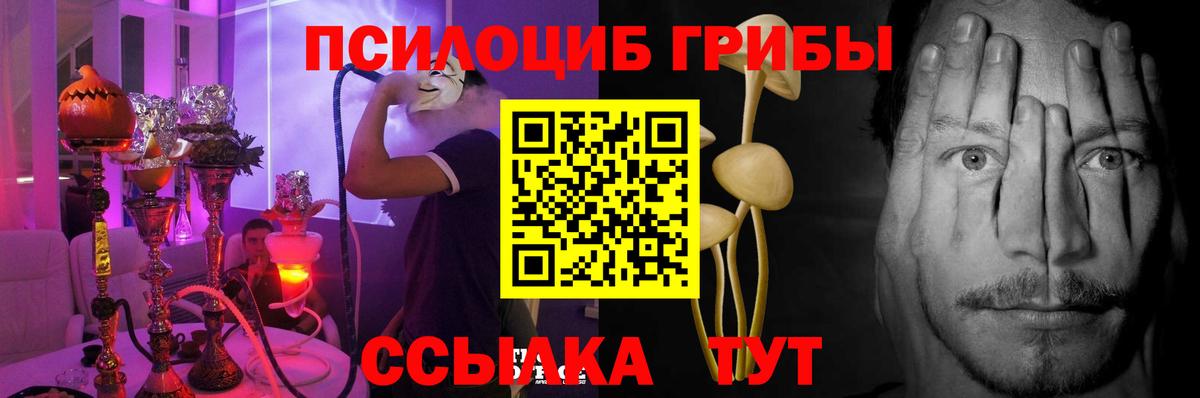 купить  цена  Вход с VPN  Муром  Галлюциногенные грибы мицелий 